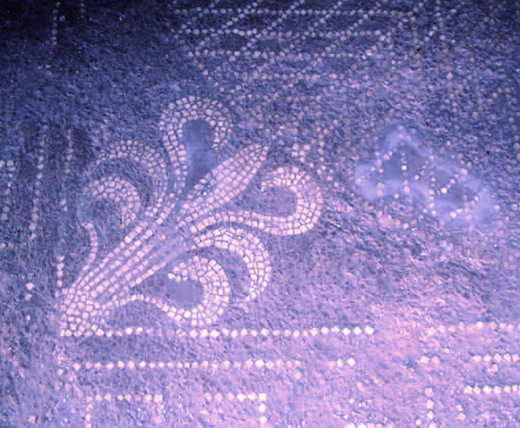 I.14.2 Pompeii. Room H, detail of palmette in mosaic floor.
Fig. 248 — Palmette du pavement du salon de la maison I 14, 2 (photographie Véronique Blanc-Bijon).
Voir Véronique Blanc-Bijon : Les Sols in Magali Cullin-Mingaud, 2010. La vannerie dans l'Antiquité romaine: Collection du Centre Jean Bérard 35. Paris. Centre Jean Berard, pp. 233-8, fig. 248. 
https://books.openedition.org/pcjb/706