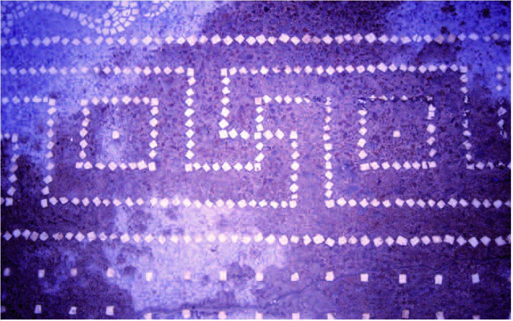 I.14.2 Pompeii. Room H, detail of meander in mosaic floor.
Fig. 247 — Détail du méandre du pavement du salon de la maison I 14, 2 (photographie Véronique Blanc-Bijon).
Voir Véronique Blanc-Bijon : Les Sols in Magali Cullin-Mingaud, 2010. La vannerie dans l'Antiquité romaine: Collection du Centre Jean Bérard 35. Paris. Centre Jean Berard, pp. 233-8, fig. 247. 
https://books.openedition.org/pcjb/706