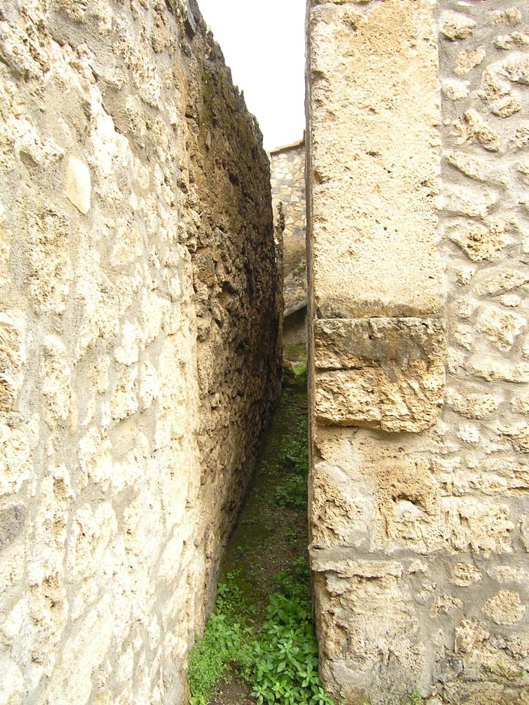 I.14.2 Pompeii. July 2008. Looking south in south-east corner of Garden area M. 
Photo courtesy of Guilhem Chapelin.