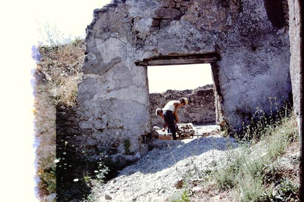 I.14.2 Pompeii. 1972. Looking west through window in atrium, towards garden area and unearthing of triclinium. Photo by Stanley A. Jashemski. 
Source: The Wilhelmina and Stanley A. Jashemski archive in the University of Maryland Library, Special Collections (See collection page) and made available under the Creative Commons Attribution-Non Commercial License v.4. See Licence and use details. J72f0703
