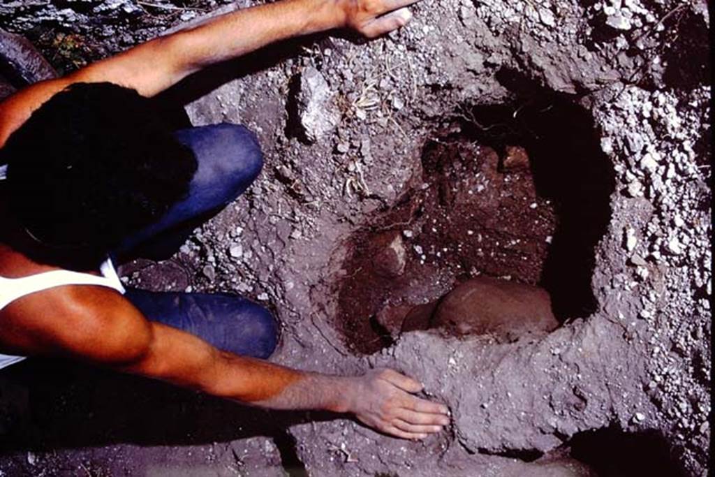 I.14.2 Pompeii. 1972. Finding of the buried amphora. Photo by Stanley A. Jashemski. 
Source: The Wilhelmina and Stanley A. Jashemski archive in the University of Maryland Library, Special Collections (See collection page) and made available under the Creative Commons Attribution-Non Commercial License v.4. See Licence and use details. J72f0432