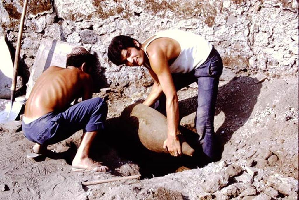 I.14.2 Pompeii. 1972. Removal of buried amphora.  Photo by Stanley A. Jashemski. 
Source: The Wilhelmina and Stanley A. Jashemski archive in the University of Maryland Library, Special Collections (See collection page) and made available under the Creative Commons Attribution-Non Commercial License v.4. See Licence and use details. J72f0483