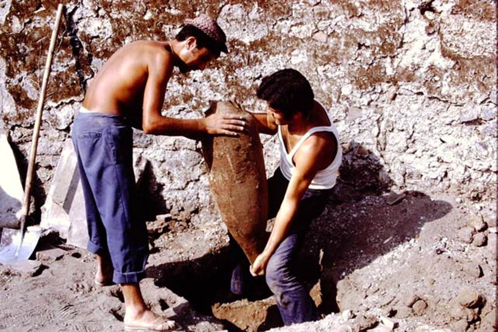 I.14.2 Pompeii. 1972. Amphora out of the lapilli. Photo by Stanley A. Jashemski. 
Source: The Wilhelmina and Stanley A. Jashemski archive in the University of Maryland Library, Special Collections (See collection page) and made available under the Creative Commons Attribution-Non Commercial License v.4. See Licence and use details. J72f0484