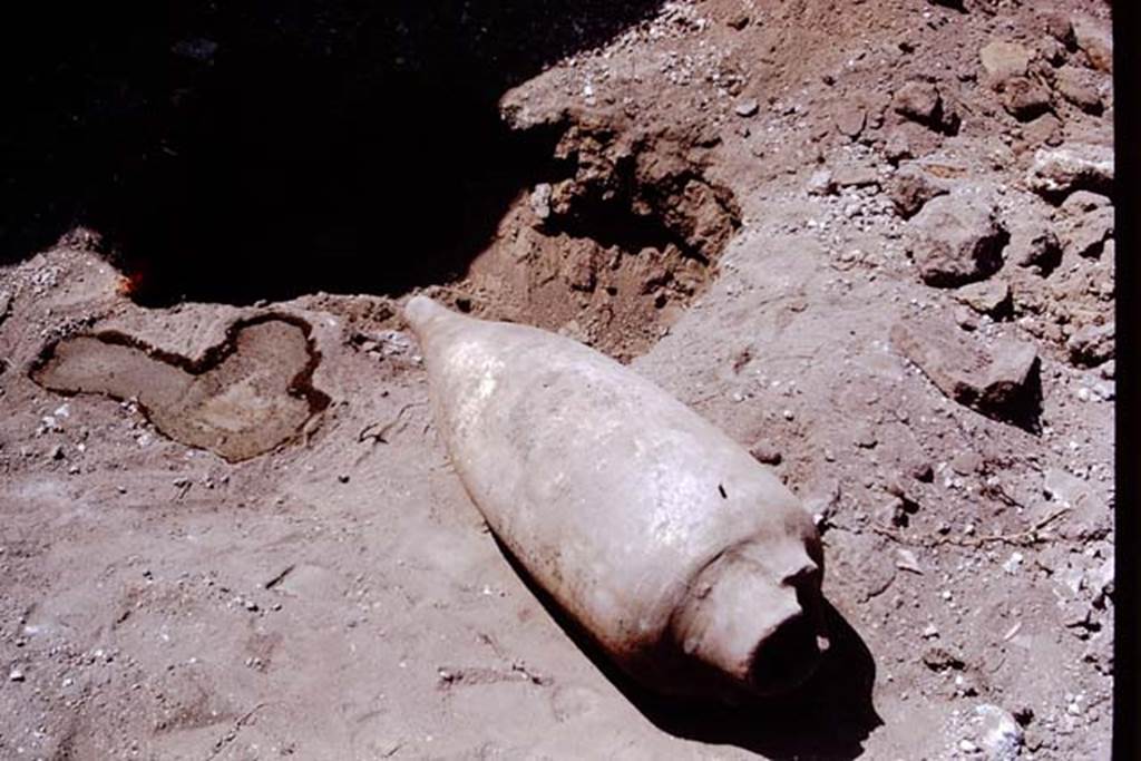 I.14.2 Pompeii. 1972. Amphora laying on ground, next to filled root-cavity. Photo by Stanley A. Jashemski. 
Source: The Wilhelmina and Stanley A. Jashemski archive in the University of Maryland Library, Special Collections (See collection page) and made available under the Creative Commons Attribution-Non Commercial License v.4. See Licence and use details. J72f0501