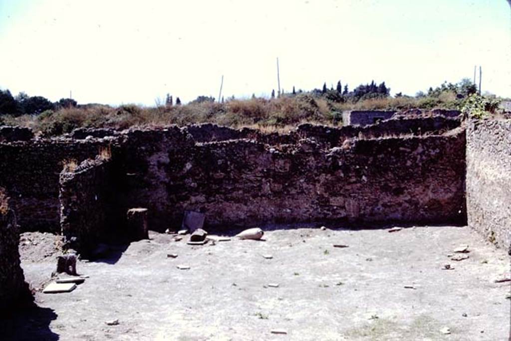 I.14.2 Pompeii. 1972. Looking west across garden area with root cavities safely under the stones. Photo by Stanley A. Jashemski. 
Source: The Wilhelmina and Stanley A. Jashemski archive in the University of Maryland Library, Special Collections (See collection page) and made available under the Creative Commons Attribution-Non Commercial License v.4. See Licence and use details. J72f0688
According to Wilhelmina, “49 root cavities were found, 4 of these being large trees located at the edges of the garden. The others, excepting those found near the triclinium and an additional clump near the limestone block, were irregularly spaced in 5 rows running lengthwise in the garden, and these cavities were probably those of trees. There were also carbonized beans found in the garden, as well as carbonized figs and olive pollen”.  
See Jashemski, W. F., 1993. The Gardens of Pompeii, Volume II: Appendices. New York: Caratzas. (p.59)
