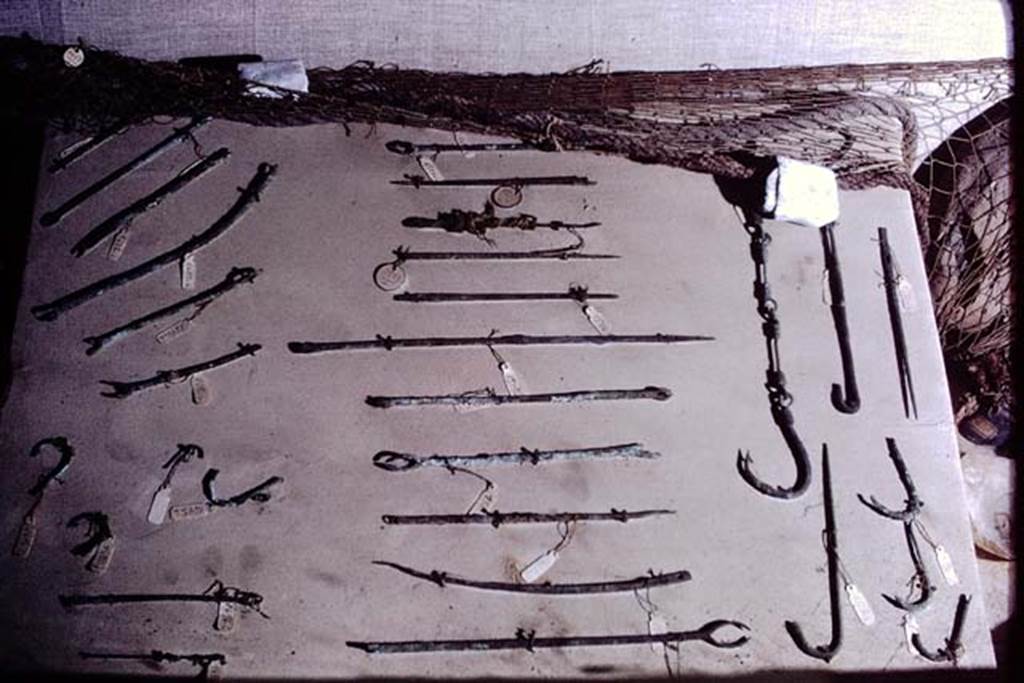 Pompeii. 1972. Variety of hooks. Photo by Stanley A. Jashemski. 
Source: The Wilhelmina and Stanley A. Jashemski archive in the University of Maryland Library, Special Collections (See collection page) and made available under the Creative Commons Attribution-Non Commercial License v.4. See Licence and use details.
J72f0517
According to Wilhelmina, 
“The large fishhooks (preserved length 6cm) that she discovered in a root cavity in I.14.2 indicated that it had been used for catching ocean fish of 18lbs or more in size.
A terracotta watering pan for birds or small animals attested to the presence of pets in the garden”.
See Jashemski, W. F., 1993. The Gardens of Pompeii, Volume II: Appendices. New York: Caratzas, (p.60)
