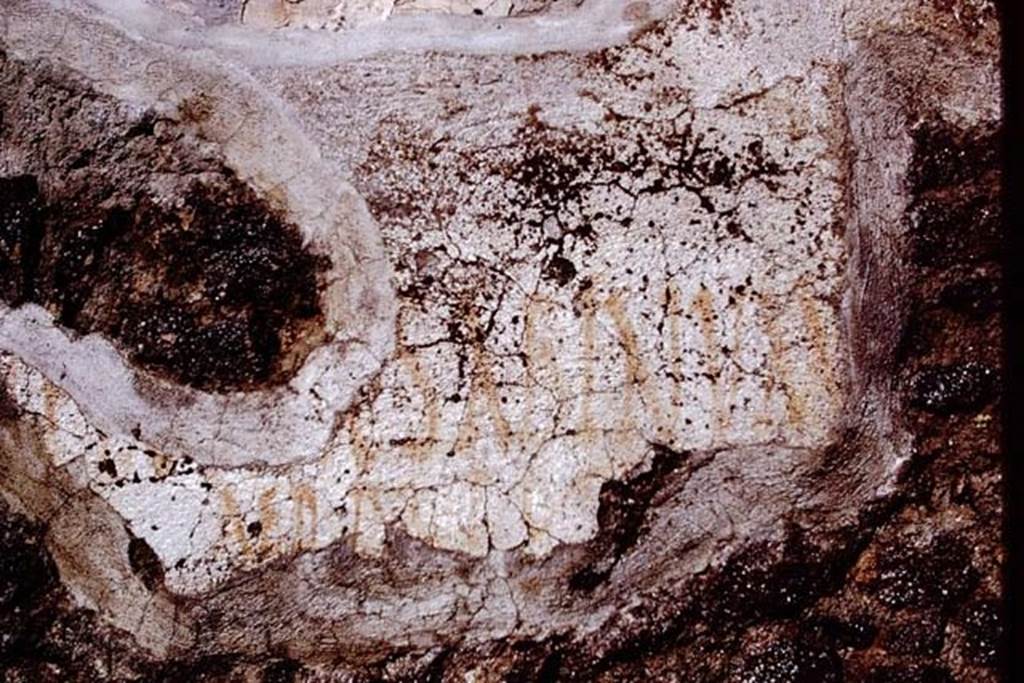 I.14.2 Pompeii. 1972. Painted graffiti. The words SABINVM AED are visible. 
Photo by Stanley A. Jashemski. 
Source: The Wilhelmina and Stanley A. Jashemski archive in the University of Maryland Library, Special Collections (See collection page) and made available under the Creative Commons Attribution-Non-Commercial License v.4. See Licence and use details.
J72f0546