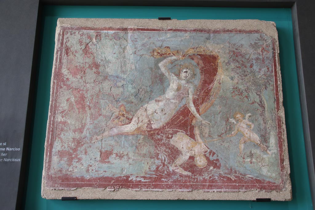 I.14.5 Pompeii. October 2022. Fresco of female figure looking at her reflection in the water, similar to a Narcissus.
On display in exhibition in the Palaestra. Photo courtesy of Klaus Heese.