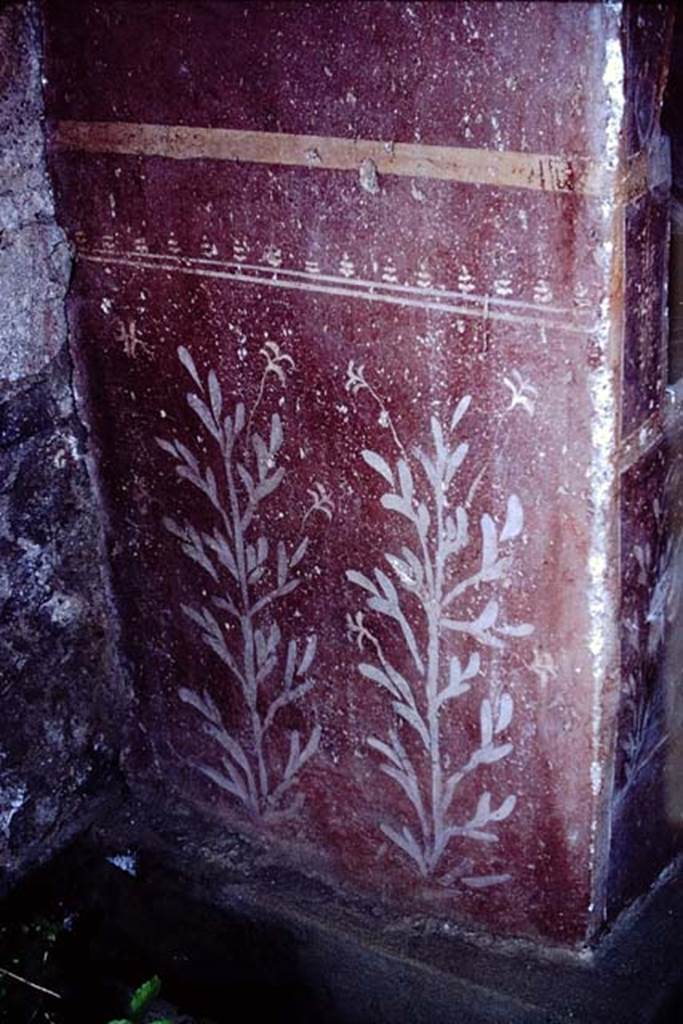 I.14.7 Pompeii. 1966. Detail of the painted plants on the east outer side of the lararium.
Photo by Stanley A. Jashemski.
Source: The Wilhelmina and Stanley A. Jashemski archive in the University of Maryland Library, Special Collections (See collection page) and made available under the Creative Commons Attribution-Non Commercial License v.4. See Licence and use details.
J66f0492