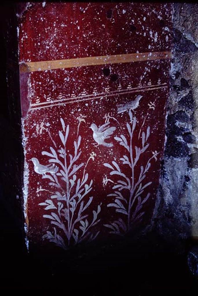 I.14.7 Pompeii. 1966. West exterior side of the lararium, with painted plants and birds.
Photo by Stanley A. Jashemski.
Source: The Wilhelmina and Stanley A. Jashemski archive in the University of Maryland Library, Special Collections (See collection page) and made available under the Creative Commons Attribution-Non Commercial License v.4. See Licence and use details.
J66f0491