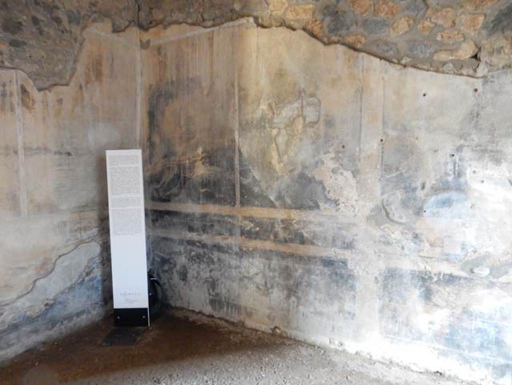 I.14.12, Pompeii. May 2018. Room 13, looking towards north wall in north-west corner of large triclinium.
Photo courtesy of Buzz Ferebee