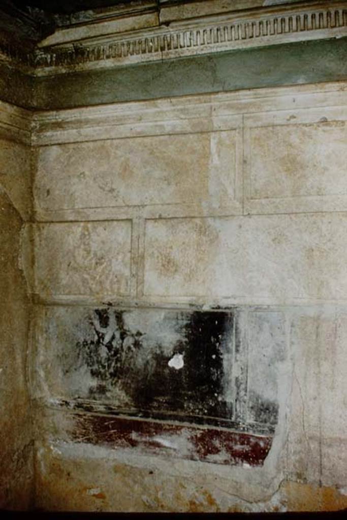 I.15.3 Pompeii. 1959. House, right room, back N wall. Photo by Stanley A. Jashemski.
Source: The Wilhelmina and Stanley A. Jashemski archive in the University of Maryland Library, Special Collections (See collection page) and made available under the Creative Commons Attribution-Non Commercial License v.4. See Licence and use details. J59f0201