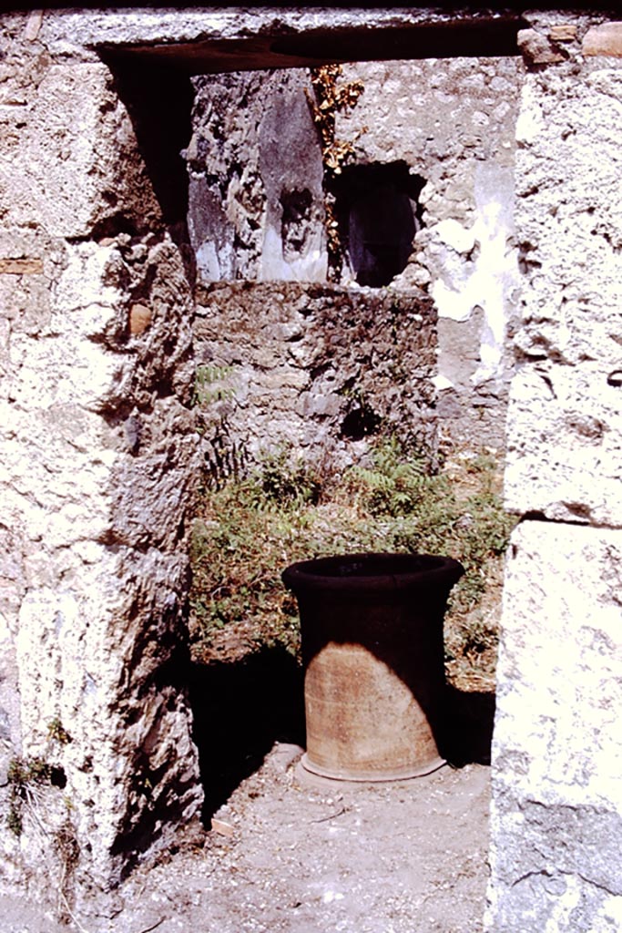 I.15.1 Pompeii. 1972. 
Looking north through doorway at west end of rear of house. Photo by Stanley A. Jashemski. 
Source: The Wilhelmina and Stanley A. Jashemski archive in the University of Maryland Library, Special Collections (See collection page) and made available under the Creative Commons Attribution-Non-Commercial License v.4. See Licence and use details.
J72f0636