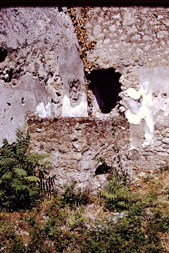 I.15.1 Pompeii. 1972. 
Looking north in room on west side of rear of house towards latrine. Photo by Stanley A. Jashemski. 
Source: The Wilhelmina and Stanley A. Jashemski archive in the University of Maryland Library, Special Collections (See collection page) and made available under the Creative Commons Attribution-Non-Commercial License v.4. See Licence and use details.
J72f0634