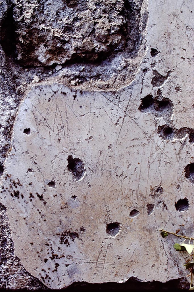 I.15.1 Pompeii. 1972. Detail from west wall of latrine. Photo by Stanley A. Jashemski. 
Source: The Wilhelmina and Stanley A. Jashemski archive in the University of Maryland Library, Special Collections (See collection page) and made available under the Creative Commons Attribution-Non-Commercial License v.4. See Licence and use details.
J72f0236