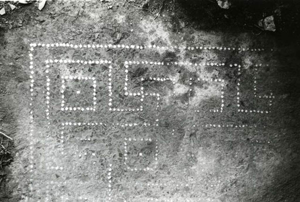 I.15.3 Pompeii. 1968. Room 6. House of Ship Europa, W cubiculum (rosettes), floor SE corner by door.  Photo courtesy of Anne Laidlaw.
American Academy in Rome, Photographic Archive. Laidlaw collection _P_68_15_12.