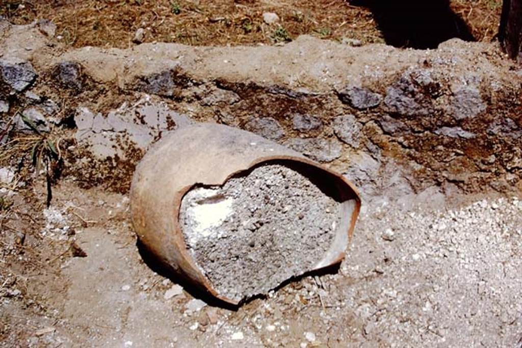 I.15.3 Pompeii. 1972. Peristyle 13. Pot filled with lapilli. Photo by Stanley A. Jashemski. 
Source: The Wilhelmina and Stanley A. Jashemski archive in the University of Maryland Library, Special Collections (See collection page) and made available under the Creative Commons Attribution-Non Commercial License v.4. See Licence and use details. J72f0640