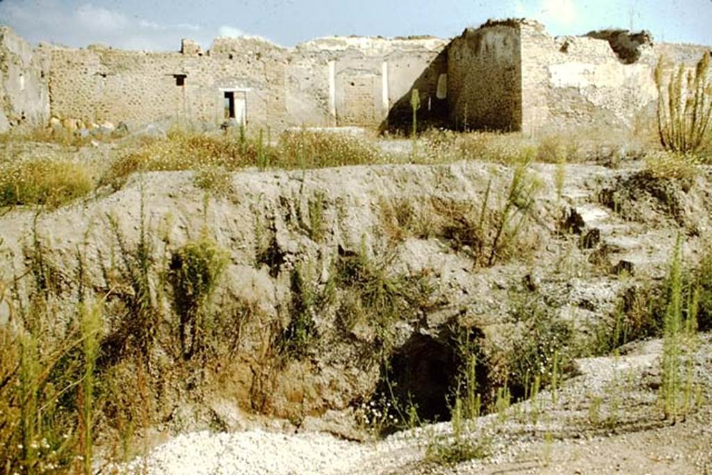 I.15.3 Pompeii. 1959. Looking north in garden 14 to a strange hole discovered with steps down into it.  See Jashemski, W. F., 1993. The Gardens of Pompeii, Volume II: Appendices. New York: Caratzas. (p.63)
Photo by Stanley A. Jashemski.
Source: The Wilhelmina and Stanley A. Jashemski archive in the University of Maryland Library, Special Collections (See collection page) and made available under the Creative Commons Attribution-Non Commercial License v.4. See Licence and use details.
J59f0199