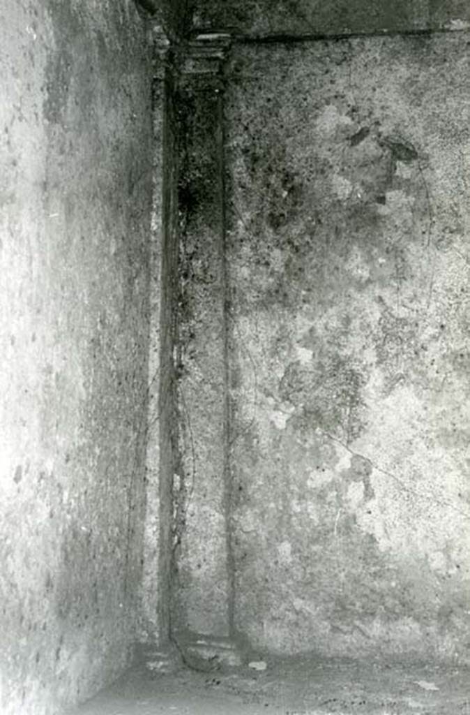 I.15.3 Pompeii. 1972. Room 4. House of Ship Europa, W cubiculum, detail of pilaster.  
Photo courtesy of Anne Laidlaw.
American Academy in Rome, Photographic Archive. Laidlaw collection _P_72_17_27.