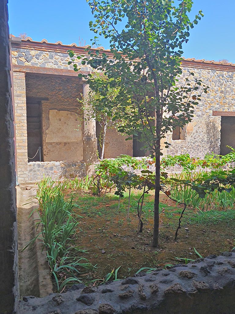 I.15.3 Pompeii. September 2024. 
Looking north across peristyle 13 towards portico 10. Photo courtesy of Giuseppe Ciaramella.