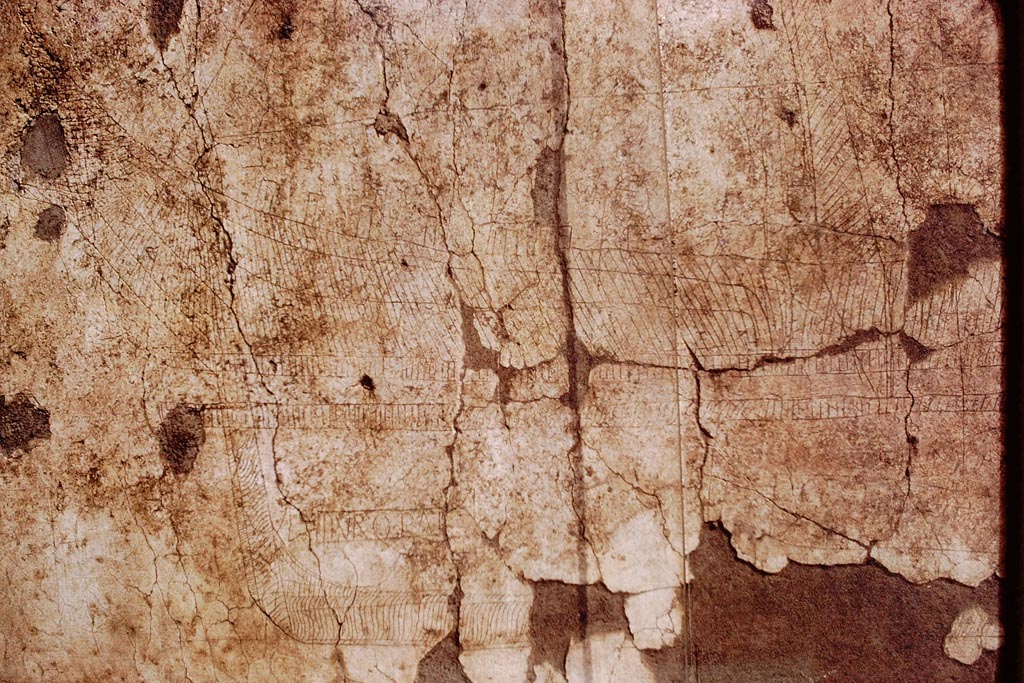 I.15.3 Pompeii. 1972. North wall of portico 10. Ship with name Europa. Photo by Stanley A. Jashemski. 
Source: The Wilhelmina and Stanley A. Jashemski archive in the University of Maryland Library, Special Collections (See collection page) and made available under the Creative Commons Attribution-Non-Commercial License v.4. See Licence and use details.
J72f0127