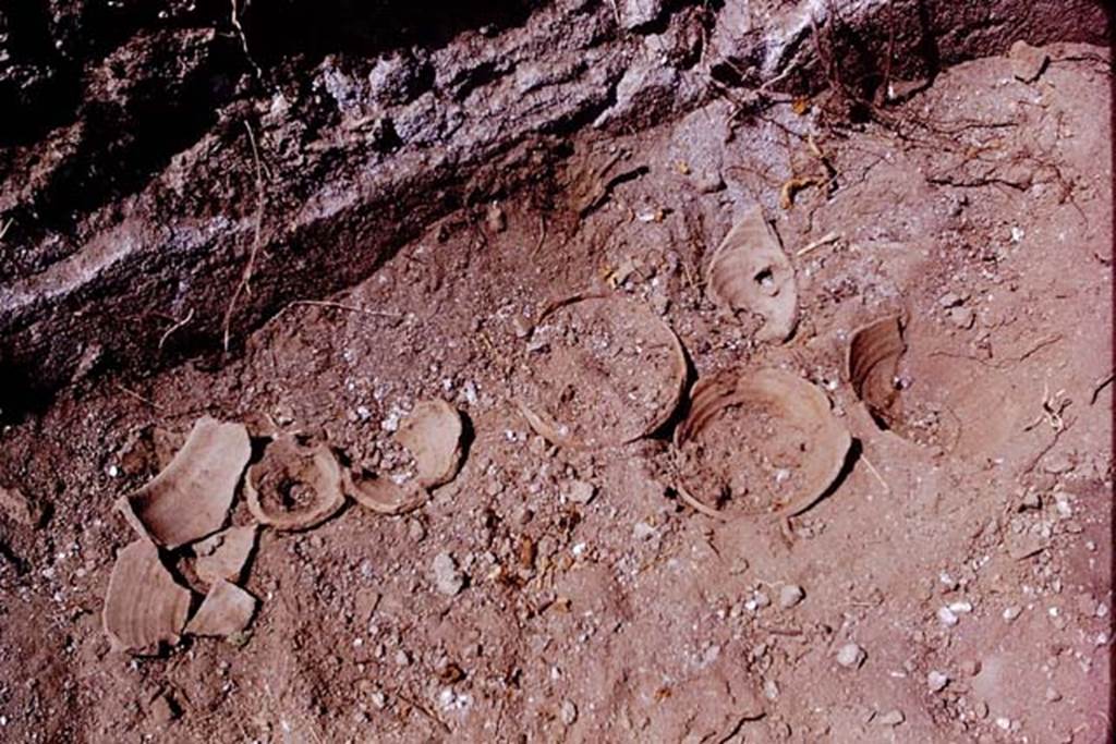 I.15.1 or I.15.3. Pompeii. 1972. Fragments of terracotta plant pots buried in the soil. Photo by Stanley A. Jashemski. 
Source: The Wilhelmina and Stanley A. Jashemski archive in the University of Maryland Library, Special Collections (See collection page) and made available under the Creative Commons Attribution-Non Commercial License v.4. See Licence and use details. J72f0638