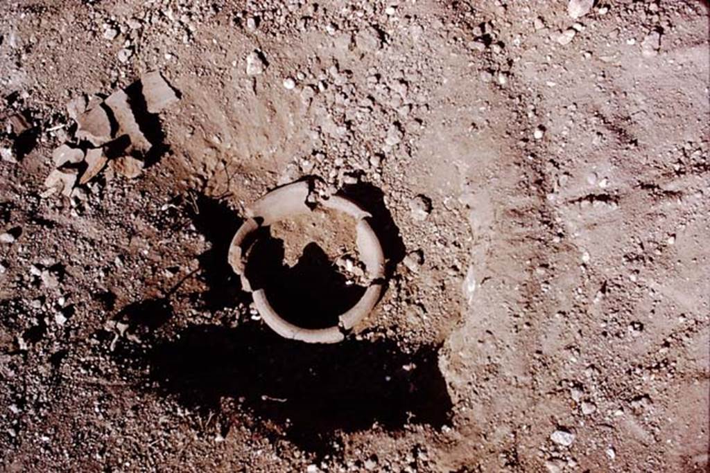 I.15.3 Pompeii. 1972. Buried plant-pot in the soil. Photo by Stanley A. Jashemski. 
Source: The Wilhelmina and Stanley A. Jashemski archive in the University of Maryland Library, Special Collections (See collection page) and made available under the Creative Commons Attribution-Non Commercial License v.4. See Licence and use details. J72f0617