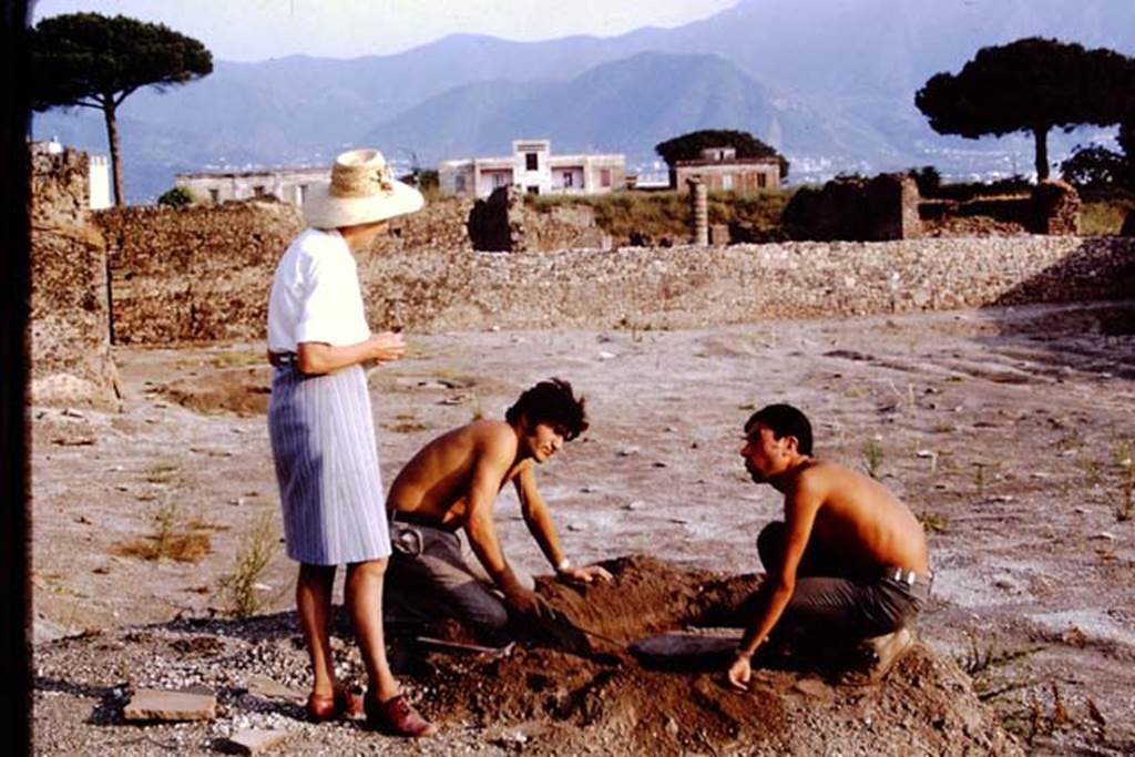 I.15.3 Pompeii, 1973. Wilhelmina discussing the tree-root, near the south wall of the site. Photo by Stanley A. Jashemski. 
Source: The Wilhelmina and Stanley A. Jashemski archive in the University of Maryland Library, Special Collections (See collection page) and made available under the Creative Commons Attribution-Non Commercial License v.4. See Licence and use details. J73f0524