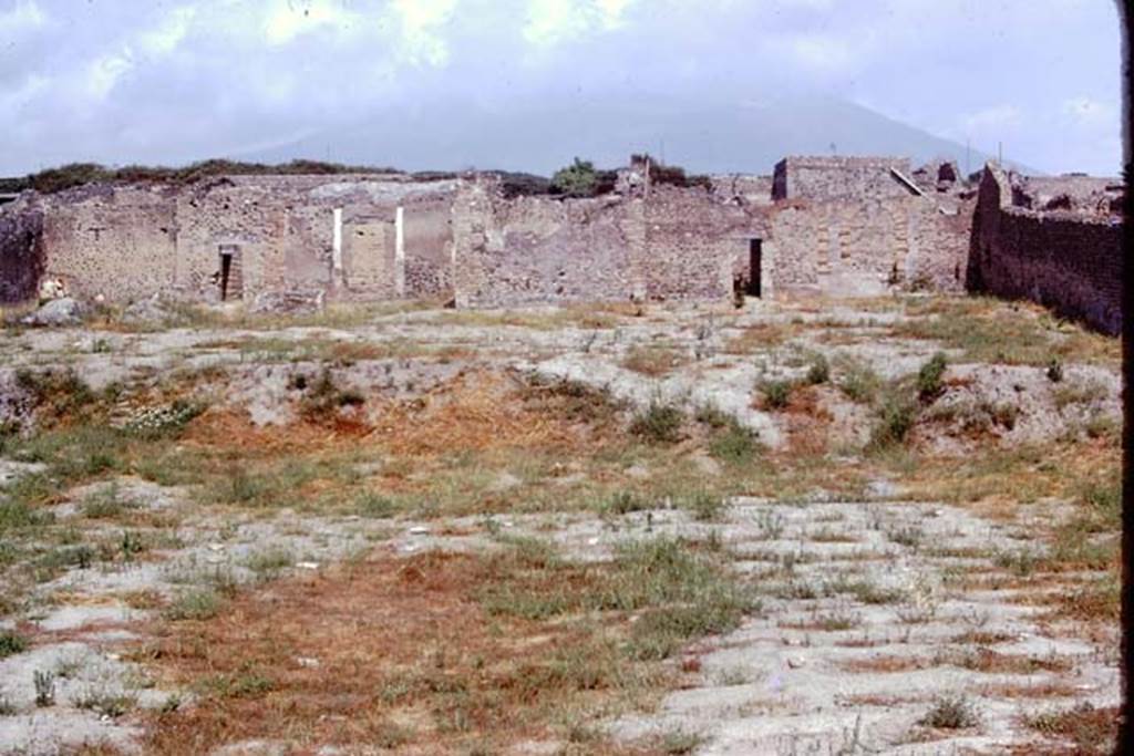 I.15.3 Pompeii. 1974. Looking north across garden 14, with the doorway to portico 10 on the left and to I.15.1 on the right, as the site becomes re-vegetated again after the excavation was completed. 
Photo by Stanley A. Jashemski.   
Source: The Wilhelmina and Stanley A. Jashemski archive in the University of Maryland Library, Special Collections (See collection page) and made available under the Creative Commons Attribution-Non Commercial License v.4. See Licence and use details.
J74f0279