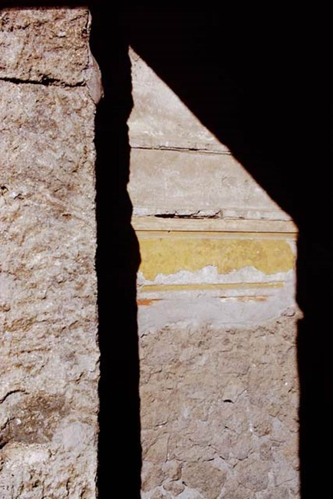 II.15.3 Pompeii. 1972. Room 5. Entrance vestibule, detail of south end of west side.  Photo by Stanley A. Jashemski. 
Source: The Wilhelmina and Stanley A. Jashemski archive in the University of Maryland Library, Special Collections (See collection page) and made available under the Creative Commons Attribution-Non Commercial License v.4. See Licence and use details. J72f0604