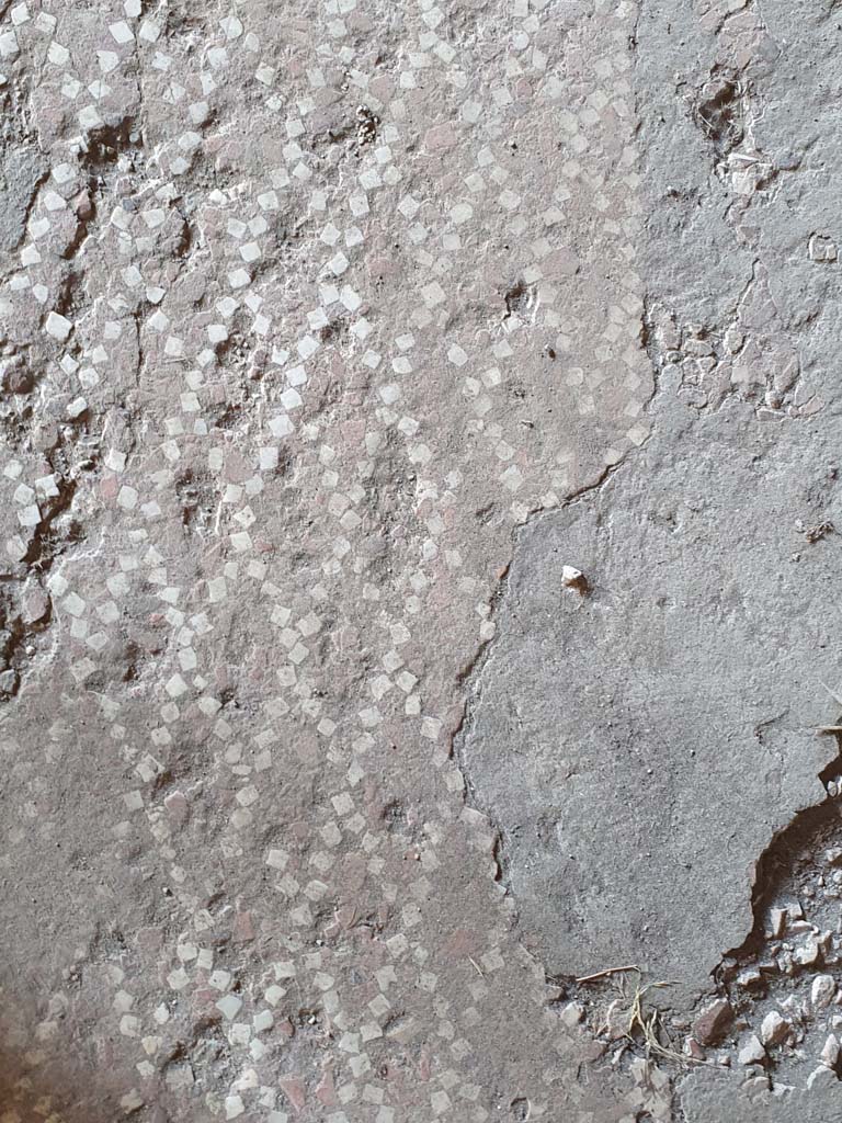 I.15.3 Pompeii. July 2021. Room 8, detail of flooring.
Foto Annette Haug, ERC Grant 681269 DÉCOR.