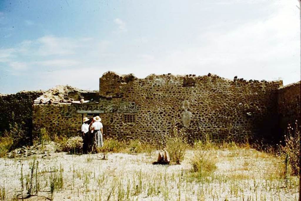 1.15.6 and I.15, Pompeii. 1959. East wall of garden of I.15.1/3 with doorway to I.15.6 and two terracotta windows of I.15.5.
 Photo by Stanley A. Jashemski.
Source: The Wilhelmina and Stanley A. Jashemski archive in the University of Maryland Library, Special Collections (See collection page) and made available under the Creative Commons Attribution-Non Commercial License v.4. See Licence and use details.
J59f0498