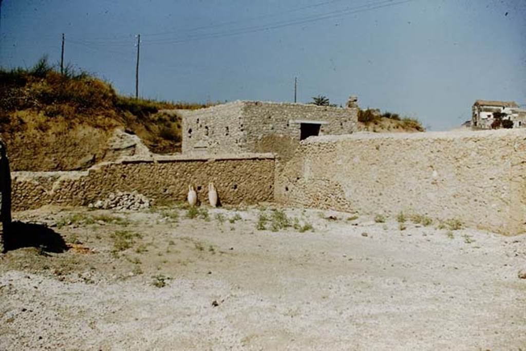 I.16.2 Pompeii. 1959. Looking west across garden area, and walls of I.16.4. Photo by Stanley A. Jashemski.
Source: The Wilhelmina and Stanley A. Jashemski archive in the University of Maryland Library, Special Collections (See collection page) and made available under the Creative Commons Attribution-Non Commercial License v.4. See Licence and use details.
J59f0211