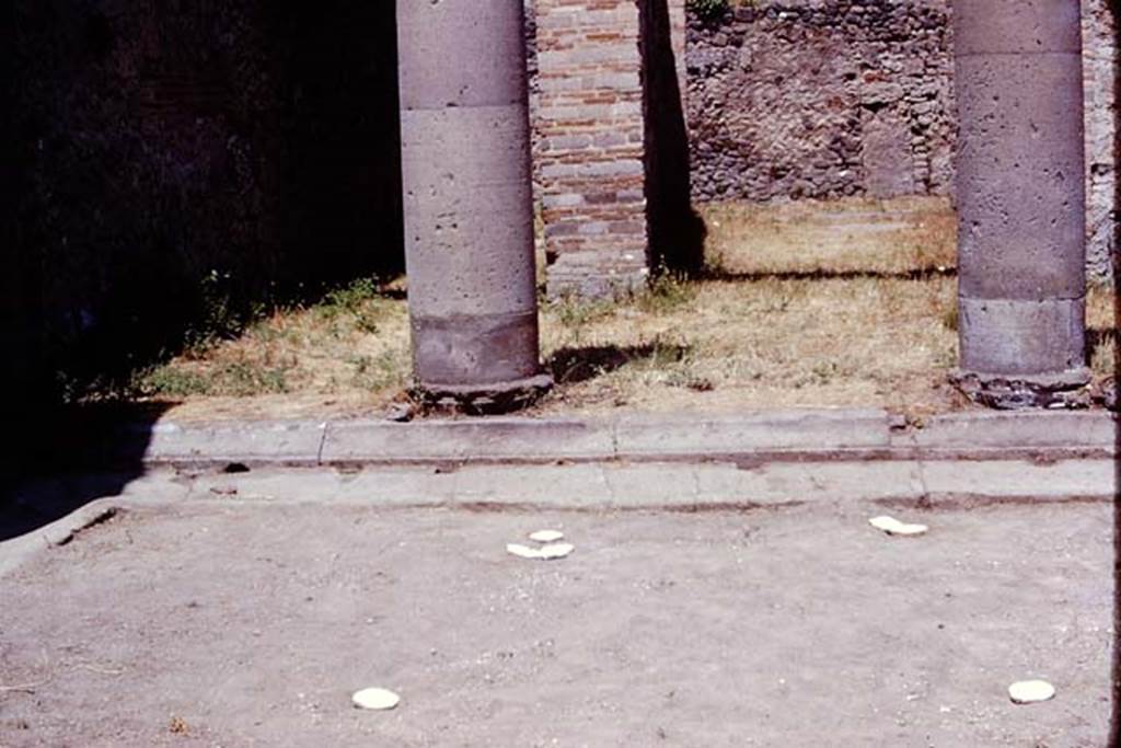 I.16.2 Pompeii. 1974. Looking towards north-west corner of peristyle with filled, marked, root cavities. Photo by Stanley A. Jashemski.   
Source: The Wilhelmina and Stanley A. Jashemski archive in the University of Maryland Library, Special Collections (See collection page) and made available under the Creative Commons Attribution-Non Commercial License v.4. See Licence and use details. J74f0723