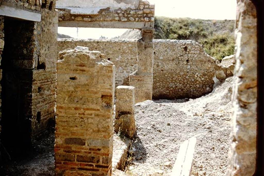I.16.4 Pompeii. 1959. Looking south across garden area, with doorway to summer triclinium, on left. Photo by Stanley A. Jashemski.
Source: The Wilhelmina and Stanley A. Jashemski archive in the University of Maryland Library, Special Collections (See collection page) and made available under the Creative Commons Attribution-Non Commercial License v.4. See Licence and use details.
J59f0217