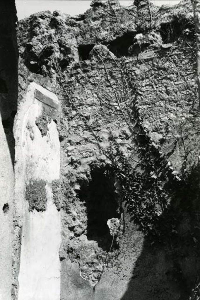 I.17.1 Pompeii. 1975. Tuscanic Atrium, third room left E of atrium, NE corner.  
Photo courtesy of Anne Laidlaw.
American Academy in Rome, Photographic Archive. Laidlaw collection _P_75_5_25.