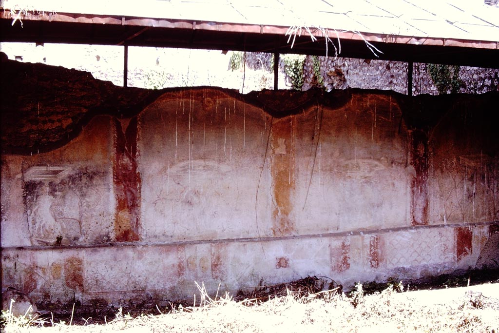 I.17.4 Pompeii. 1972. North wall of peristyle garden. Photo by Stanley A. Jashemski. 
Source: The Wilhelmina and Stanley A. Jashemski archive in the University of Maryland Library, Special Collections (See collection page) and made available under the Creative Commons Attribution-Non Commercial License v.4. See Licence and use details.
J72f0135