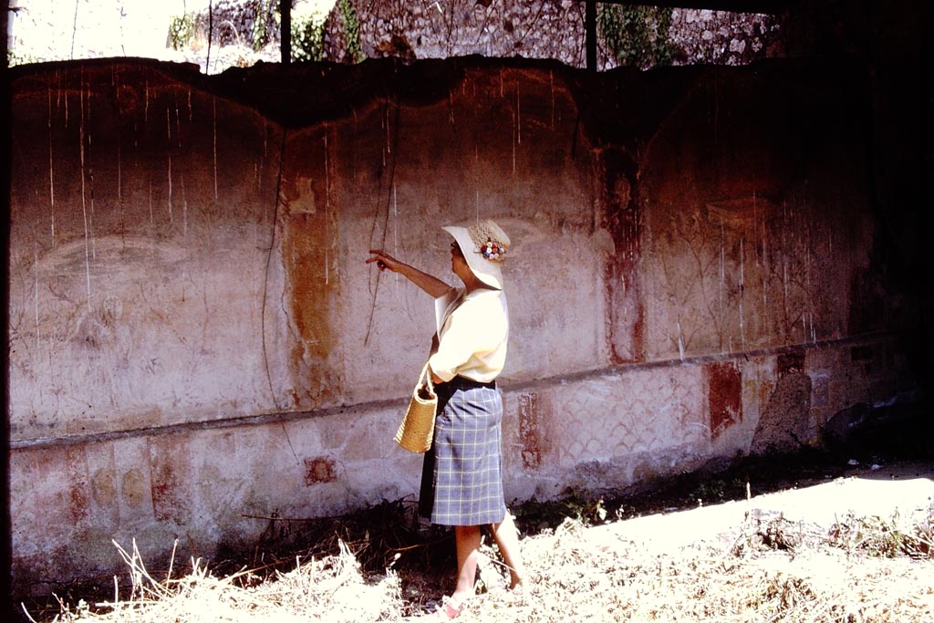 I.17.4 Pompeii. 1972. Wilhelmina studying the north wall.  Photo by Stanley A. Jashemski. 
Source: The Wilhelmina and Stanley A. Jashemski archive in the University of Maryland Library, Special Collections (See collection page) and made available under the Creative Commons Attribution-Non Commercial License v.4. See Licence and use details.
J72f0136
