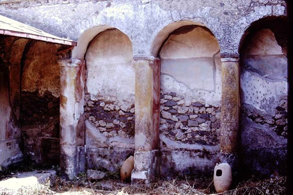 I.17.4 Pompeii. 1972. East wall of peristyle garden.  Photo by Stanley A. Jashemski. 
Source: The Wilhelmina and Stanley A. Jashemski archive in the University of Maryland Library, Special Collections (See collection page) and made available under the Creative Commons Attribution-Non Commercial License v.4. See Licence and use details. J72f0134