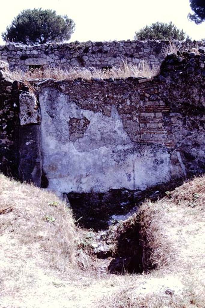 I.20.1 Pompeii. 1972. Remains of painted Lararium on east wall of vineyard, with steps to cellar.  Photo by Stanley A. Jashemski. 
Source: The Wilhelmina and Stanley A. Jashemski archive in the University of Maryland Library, Special Collections (See collection page) and made available under the Creative Commons Attribution-Non Commercial License v.4. See Licence and use details. J72f0560