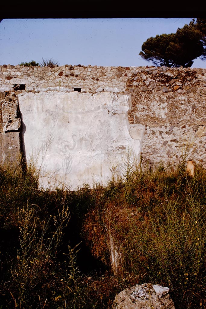 I.20.1 Pompeii. Pre-1961. East wall with remains of painted Lararium on east wall of vineyard, with steps to cellar. Photo by Stanley A. Jashemski. 
Source: The Wilhelmina and Stanley A. Jashemski archive in the University of Maryland Library, Special Collections (See collection page) and made available under the Creative Commons Attribution-Non Commercial License v.4. See Licence and use details.
GPVA0211