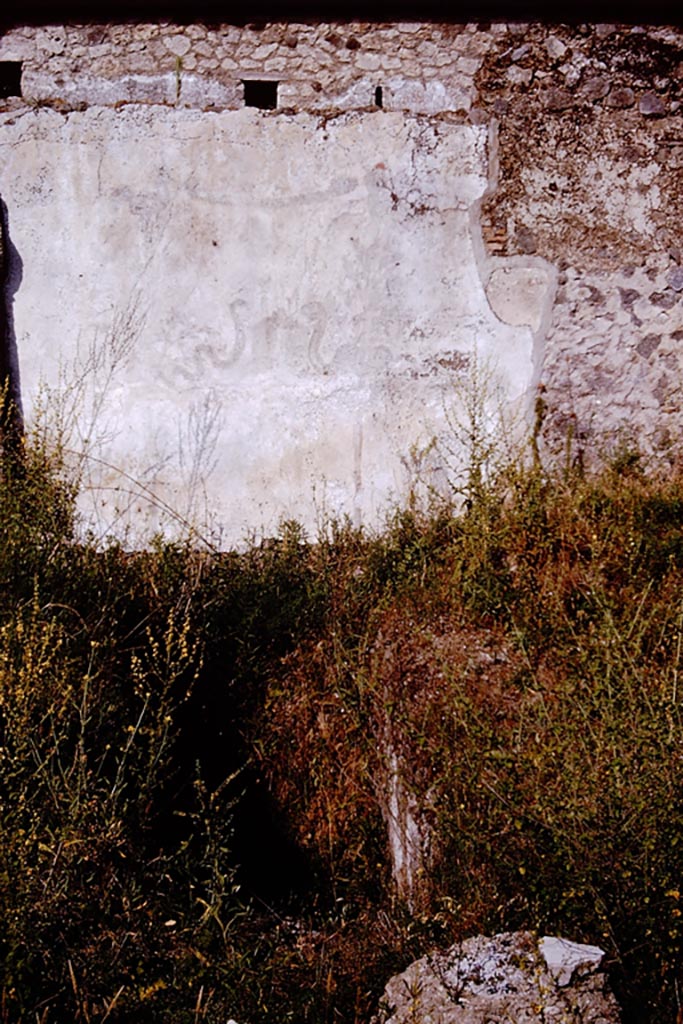 I.20.1 Pompeii. Pre-1961. East wall with the remains of painted Lararium on east wall of vineyard, with steps to cellar in front. 
Photo by Stanley A. Jashemski. 
Source: The Wilhelmina and Stanley A. Jashemski archive in the University of Maryland Library, Special Collections (See collection page) and made available under the Creative Commons Attribution-Non Commercial License v.4. See Licence and use details.
GPVA0212