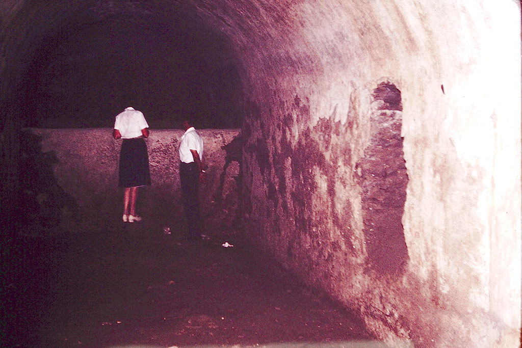 I.20.1 Pompeii. 1964. Wilhelmina and Sig. Sicignano standing next to the large vat in which the must of the wine was allowed to stand and ferment.
Photo by Stanley A. Jashemski.
Source: The Wilhelmina and Stanley A. Jashemski archive in the University of Maryland Library, Special Collections (See collection page) and made available under the Creative Commons Attribution-Non Commercial License v.4. See Licence and use details.
J64f1891
