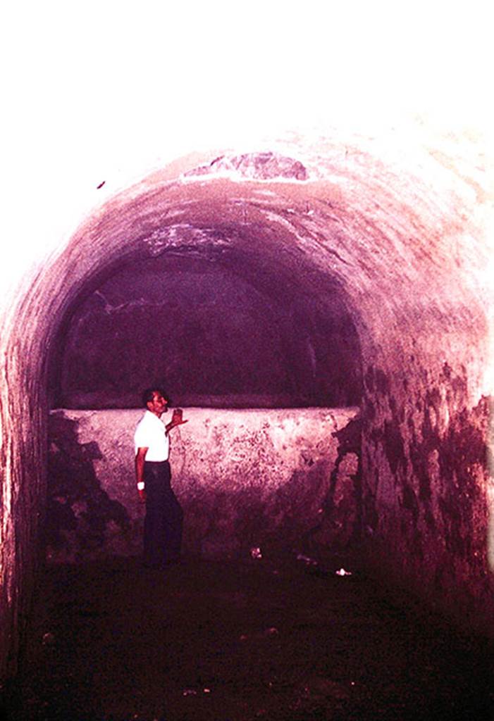 I.20.1 Pompeii. 1964. Sicignano standing next to the large vat, above him was the opening through which the must was poured.
Photo by Stanley A. Jashemski.
Source: The Wilhelmina and Stanley A. Jashemski archive in the University of Maryland Library, Special Collections (See collection page) and made available under the Creative Commons Attribution-Non Commercial License v.4. See Licence and use details.
J64f1892