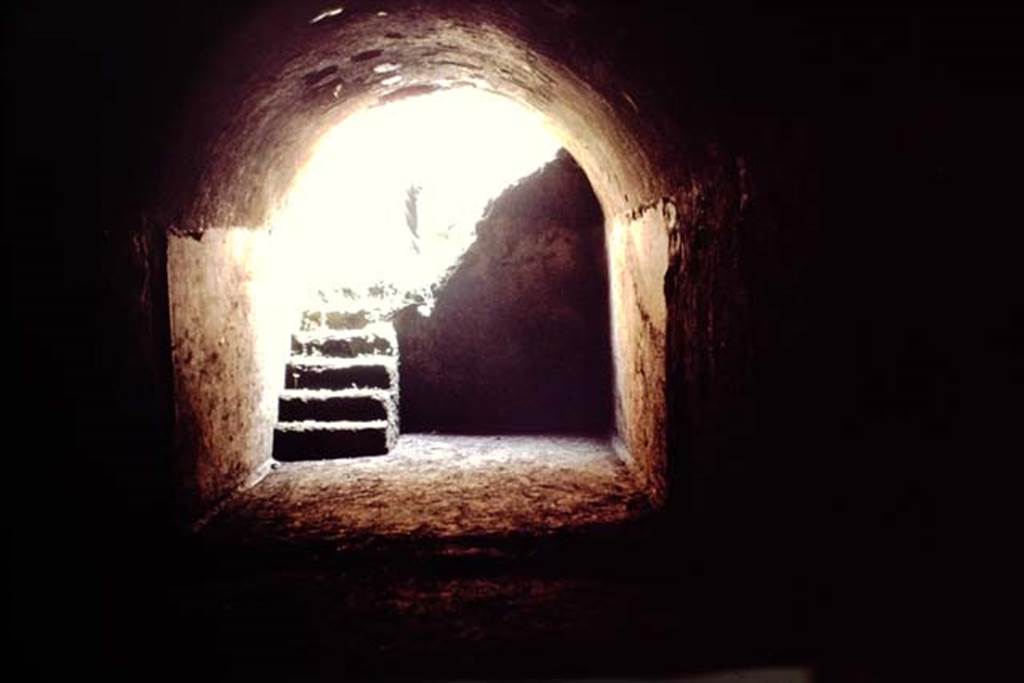 I.20.1 Pompeii. 1964. Looking across wine cellar towards steps up to vineyard. Photo by Stanley A. Jashemski.
Source: The Wilhelmina and Stanley A. Jashemski archive in the University of Maryland Library, Special Collections (See collection page) and made available under the Creative Commons Attribution-Non Commercial License v.4. See Licence and use details.
J64f1894