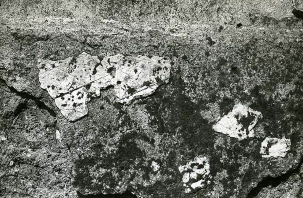 I.20.4 Pompeii. 1974. Shop House, room at NW corner, E wall, detail.  Photo courtesy of Anne Laidlaw.
American Academy in Rome, Photographic Archive. Laidlaw collection _P_74_3_10.