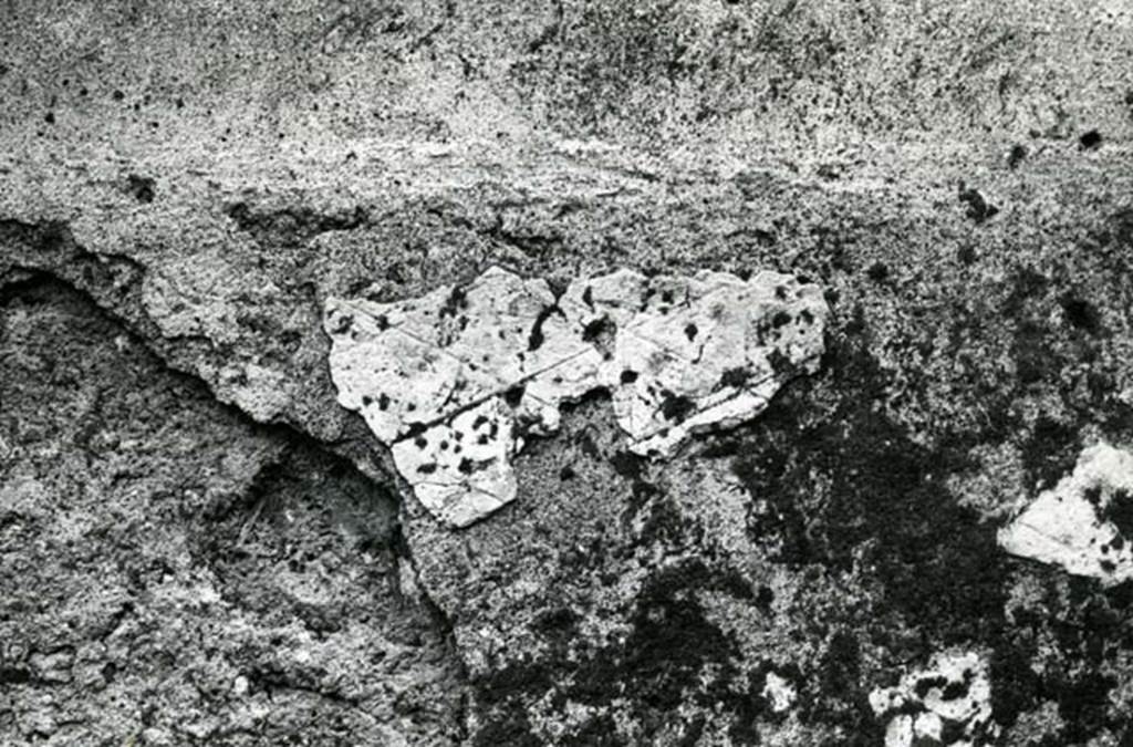 I.20.4 Pompeii. 1974. Shop House, room at NW corner, E wall, detail.  Photo courtesy of Anne Laidlaw.
American Academy in Rome, Photographic Archive. Laidlaw collection _P_74_1_25.