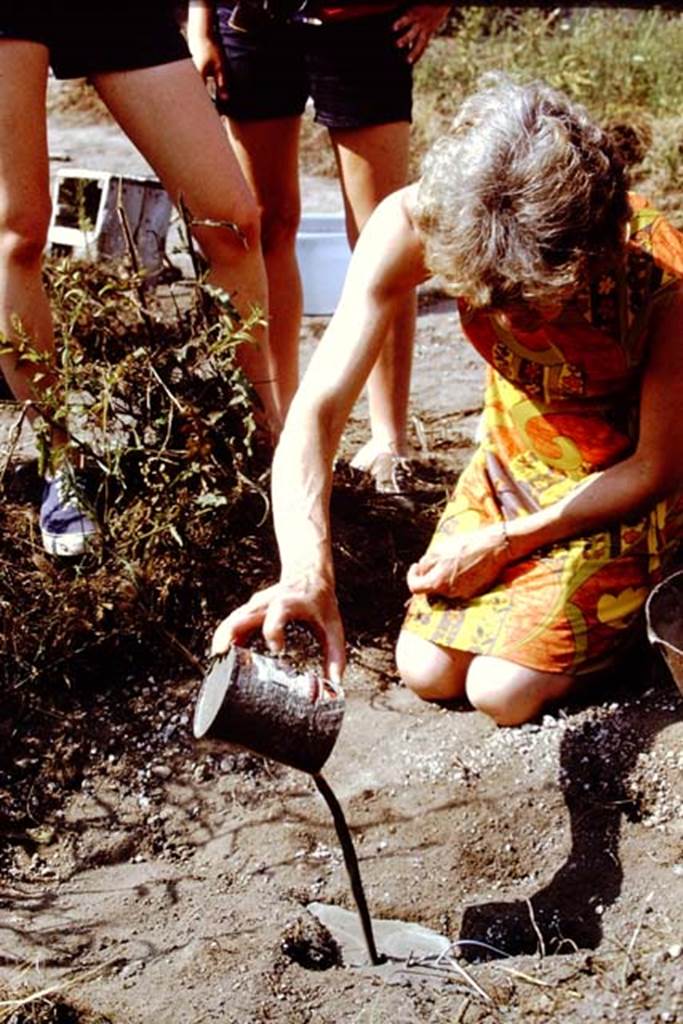 I.20.5 Pompeii. 1971.  Pouring the cement into the root cavity.  Photo by Stanley A. Jashemski.
Source: The Wilhelmina and Stanley A. Jashemski archive in the University of Maryland Library, Special Collections (See collection page) and made available under the Creative Commons Attribution-Non Commercial License v.4. See Licence and use details. J71f0176