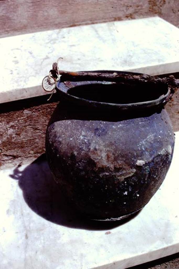 I.20.5 Pompeii. 1973. Object found. Photo by Stanley A. Jashemski. 
Source: The Wilhelmina and Stanley A. Jashemski archive in the University of Maryland Library, Special Collections (See collection page) and made available under the Creative Commons Attribution-Non Commercial License v.4. See Licence and use details. J73f0277
See Cronache Pompeiane 1, 1975: Jashemski, W. The gardens of Pompeii, (p.69-71).