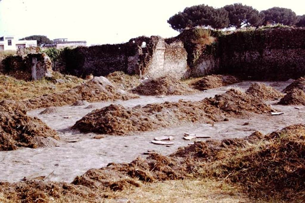 I.20.5 Pompeii. 1972. Looking south-west across site of garden/vineyard during excavations.  Photo by Stanley A. Jashemski. 
Source: The Wilhelmina and Stanley A. Jashemski archive in the University of Maryland Library, Special Collections (See collection page) and made available under the Creative Commons Attribution-Non Commercial License v.4. See Licence and use details. J72f0078